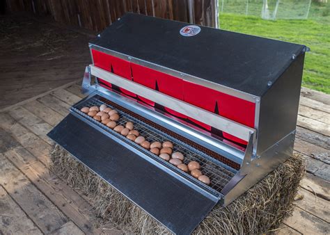 metal egg box|Rollaway Chicken Nest Box, 4 box Front or Rear Egg .